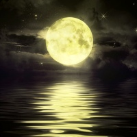 Quiet Moon MT5