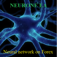 Neurone MT5