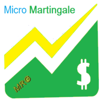 Micro Martingale