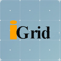 IGrid Expert