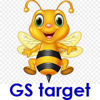 GS target