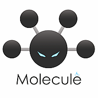 Molecule