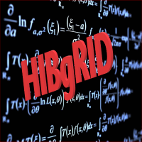 HIBgRID