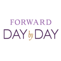 Day By Day