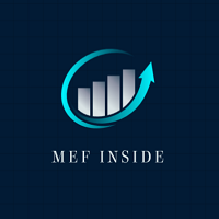 MEF Inside