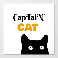 CapTaiNCAT