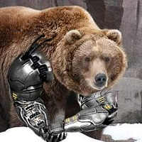 Brown Bear EA
