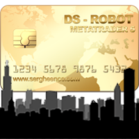 DS Robot