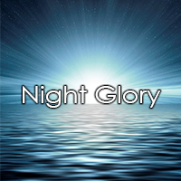 Night Glory