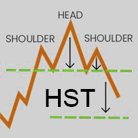 HST Expert