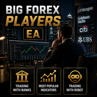Big Forex Players MT5