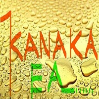 Kanaka Expert MT4